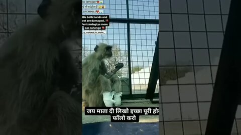 #drivingfails #shorts