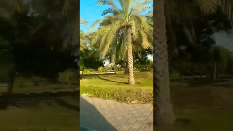 #lifeinoman #beautiful #oman #nature#support #subscribe #short #funtime #green