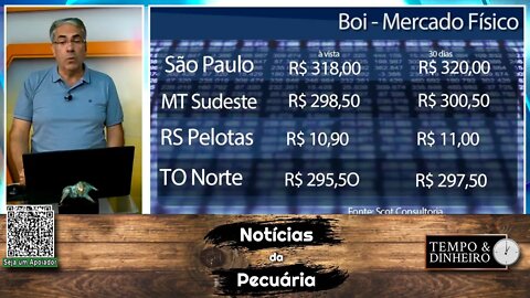 Boi gordo abre 2022 com preços firmes e boi China a R$340@