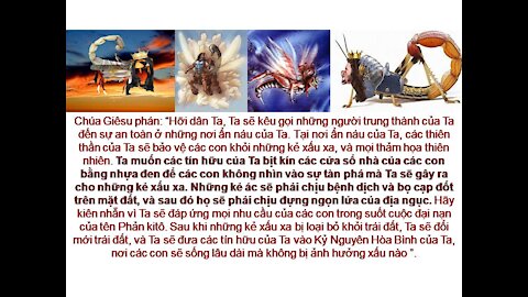 HÃY CHÚ Ý ĐẾN LỜI CẢNH BÁO NÀY! VÌ CUỘC SOI SÁNG LƯƠNG TÂM ĐÃ GẦN KỀ! Các TĐ JL. P206