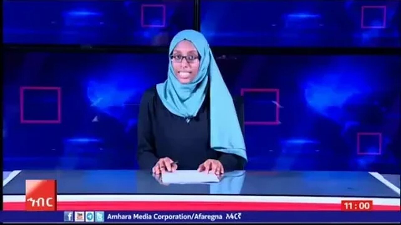 أخبار أميكو