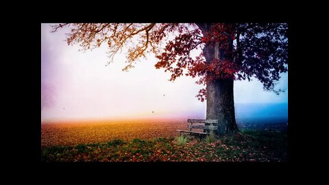 Relaxe e aproveite um momento só seu ouvindo músicas que trazem paz e aliviam o estresse - Relaxing