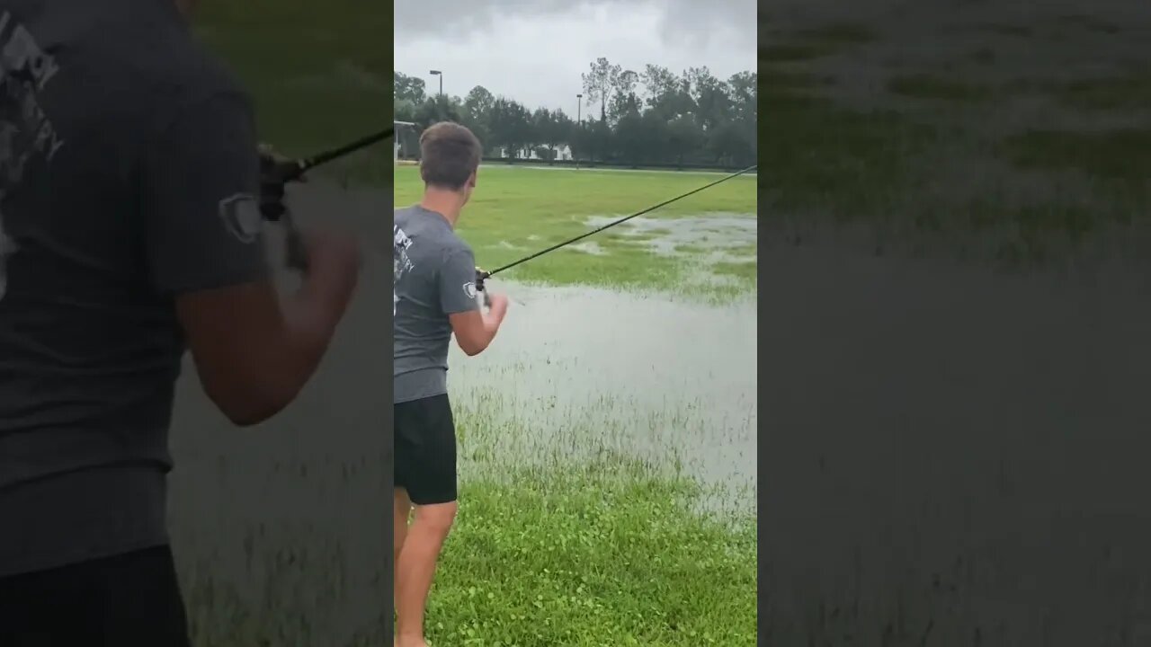 How far can you cast a Shaky Head Rig in HURRICANE IAN!