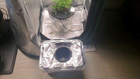DWC bucket size