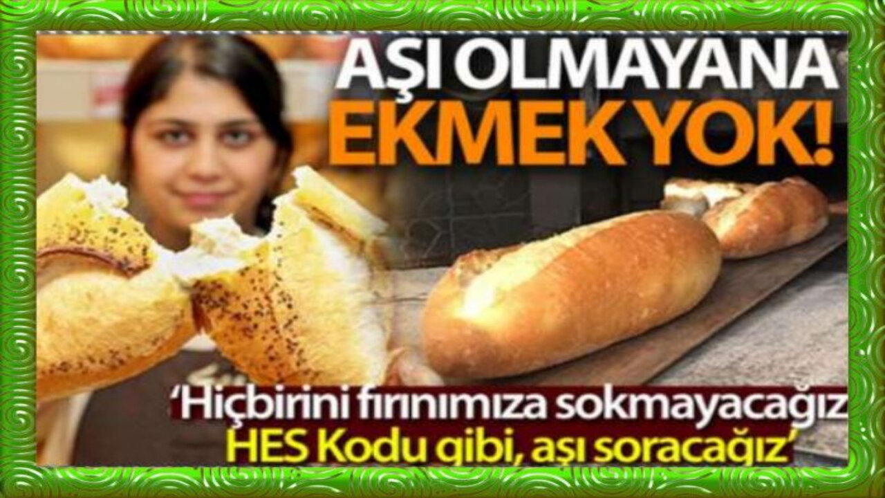 aşı olmayana ekmek yok kız yok iş yok hiçbiryere giremeyecek diyen yaban domuzu asli kefirler