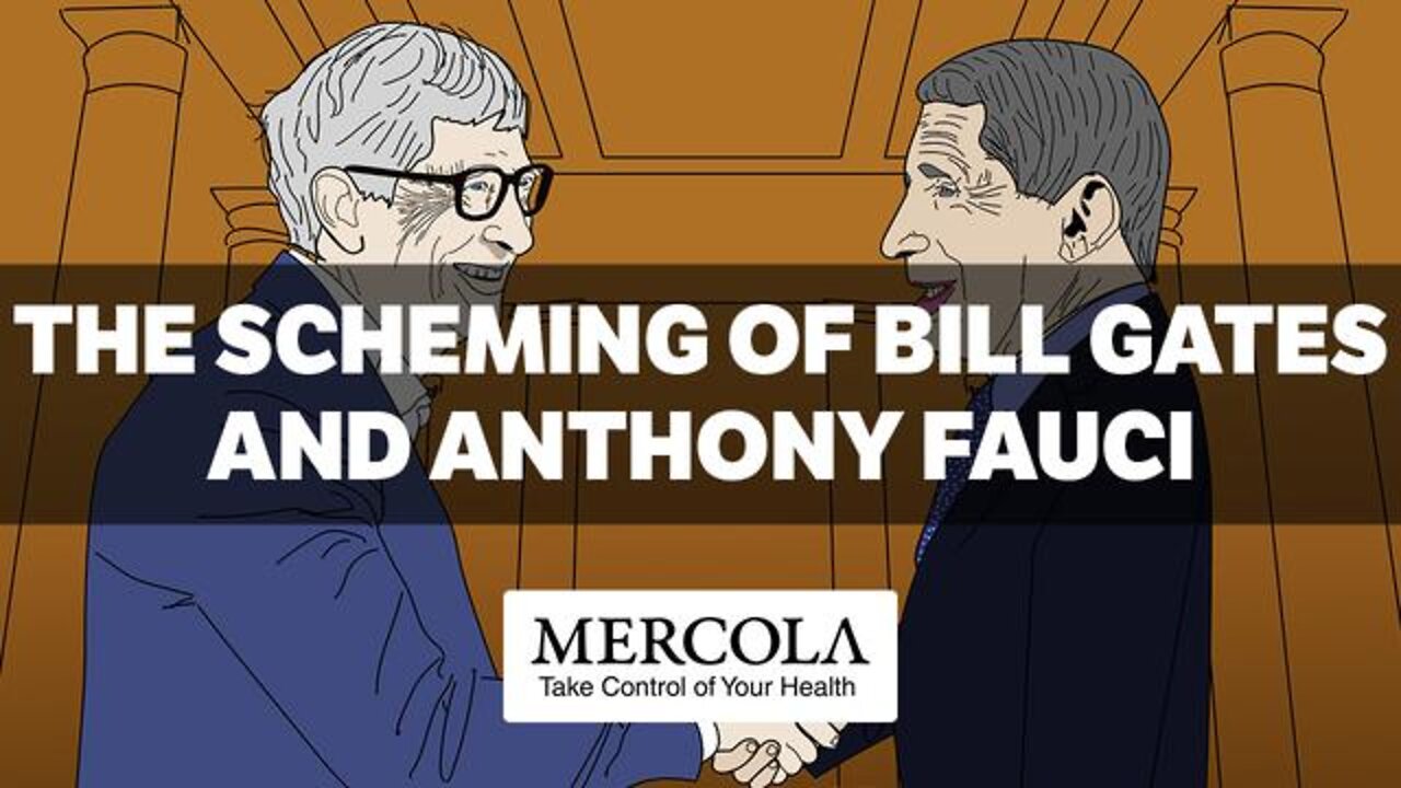 THE SCHEMING OF BILL GATES AND ANTHONY FAUCI