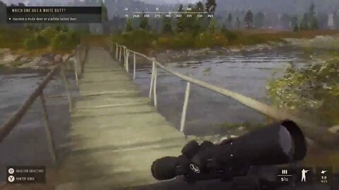 Way of the Hunter walkthrough part 6 xbox series s