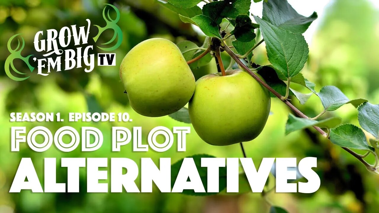 Food Plot Alternatives | Grow 'em Big TV