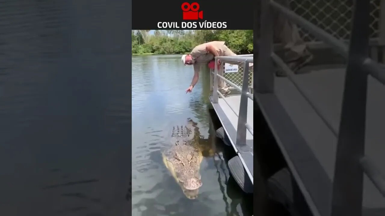 profissão perigosa