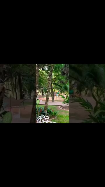 #vidademúsico #bastidores #music #musico #fy #fyp #piscina #clube #familia #folga