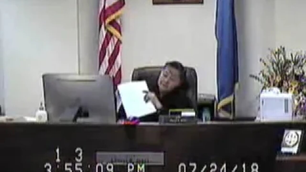 Norcutt matter before Clark County Family Court Judge Cheryl Moss 7.24.18 3-7
