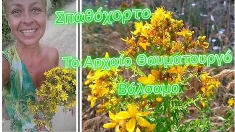 Σπαθόχορτο - Βαλσαμόλαδο - Το Αρχαίο Θαυματουργό Βάλσαμο