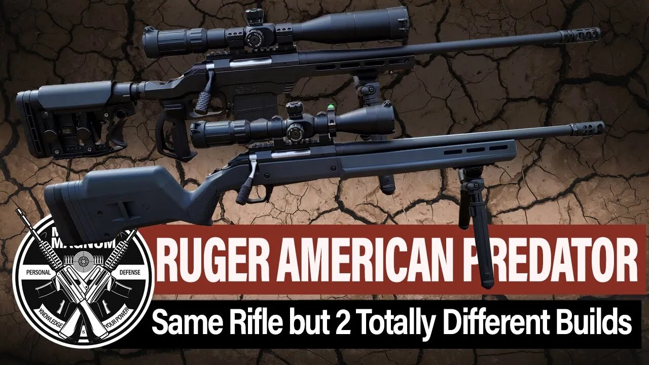 Ruger American Predator - 2 Different Custom Builds