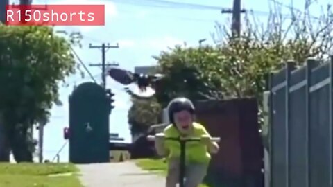 Funny Animal Video - 2022 Fun Video😄😄 #r150shorts |#r150shorts |#youtubeshorts 😁😁😁😄😄