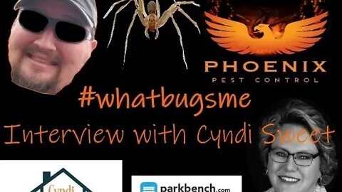 Interview with Cyndi Sweet of Lecone Realty