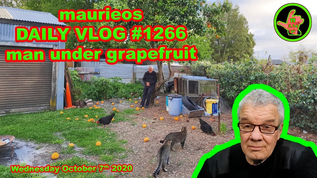 maurieos DAILY VLOG #1266 man under grapefruit