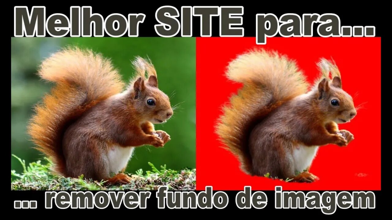 Melhor site para remover fundo de imagem de graça