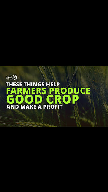 These Things Help Farmers Produce Good Crop and Make a Profit 💰