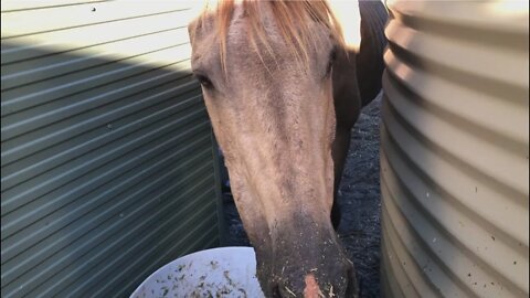 A visit with the messiest eater on earth, Arthur! Still skinny. Still hungry. Still eating.