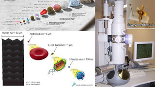 Mainstream Overview of Viruses, Virology, and Vaccines