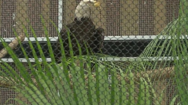 Conservancy opens expanded animal hospital