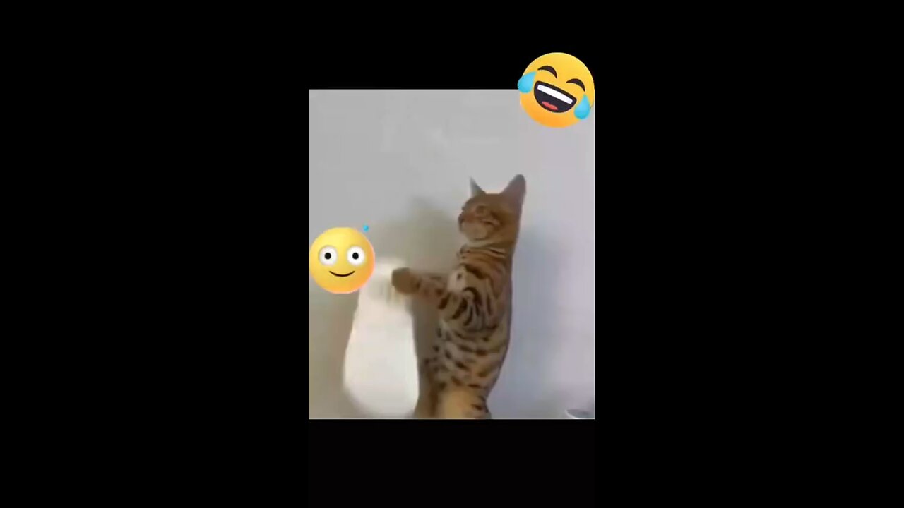 Fun 🤩
