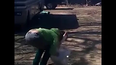 Goose expresses great joy in owner returning