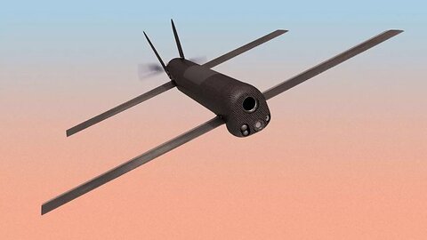 Un dron FPV ucraniano en la región de Zaporozhye fue derribado por una ametralladora