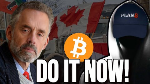 Jordan Peterson And Plan B On Why You Should Get Bitcoin Immediately