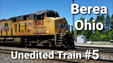 Berea Ohio UP mixed with some fallen, Train 5 of 14