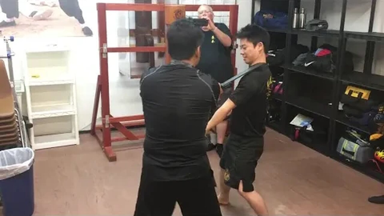 Wing Chun - Baat Jaam Do / Butterfly Swords Flow and Application