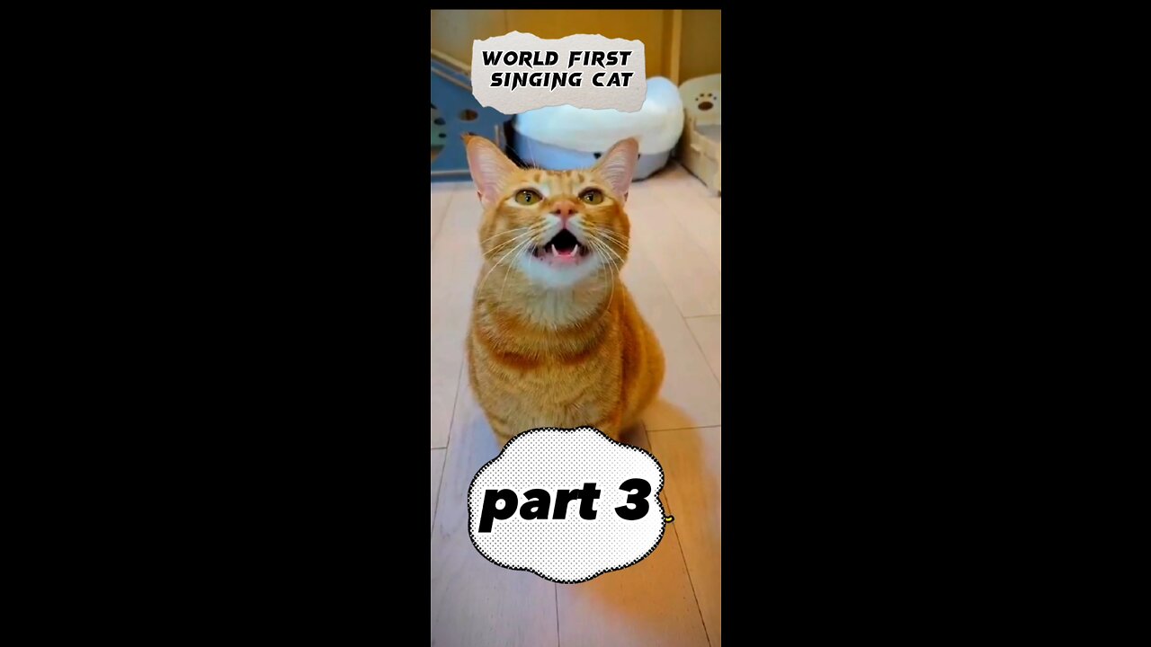 World first singing cat| viral cat video/funny cat part 3