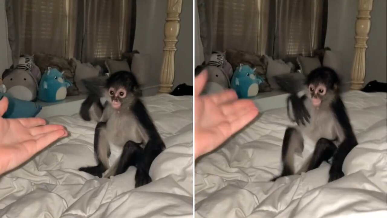 He’s crazy when he wants to be
