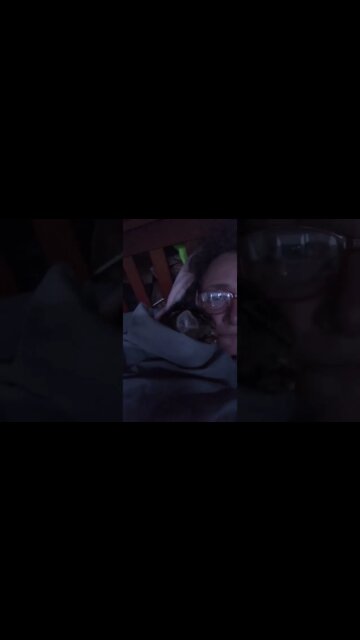 Rescued feral kitten sound asleep 💤