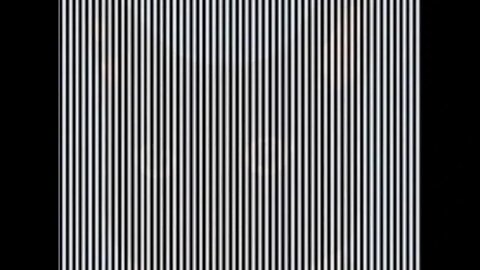 What You See Is The Illusion of Reality
