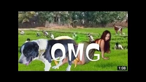 Dog Enjoying with 😎😱 | #dog #viral #trending