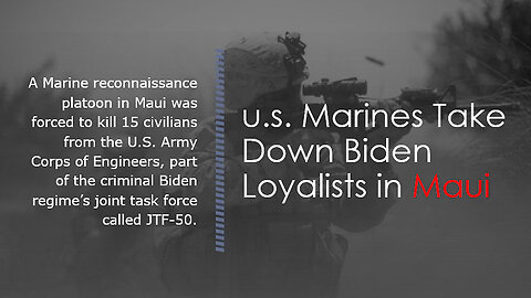 u.s Marines Take Down Biden Loyalists in Maui.