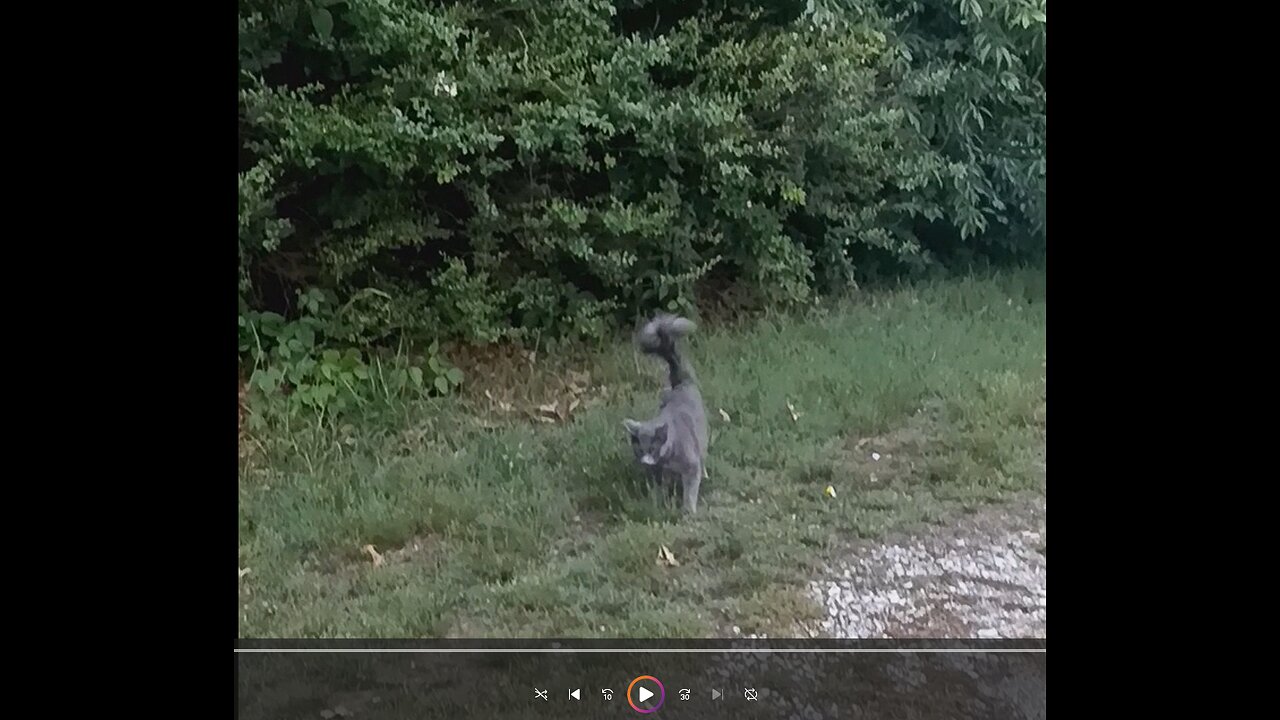 Nature Will Out/Dear Non-Meaters