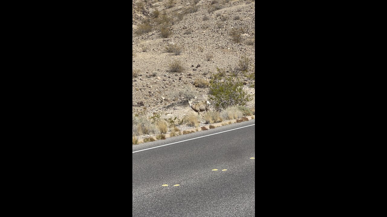 LAKE MEAD NEVADA