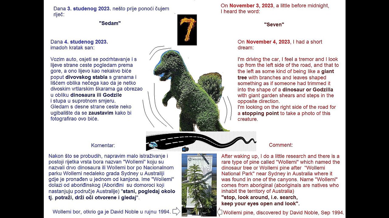 Dinosaur hodajuce drvo - walking tree 4.11.2023.