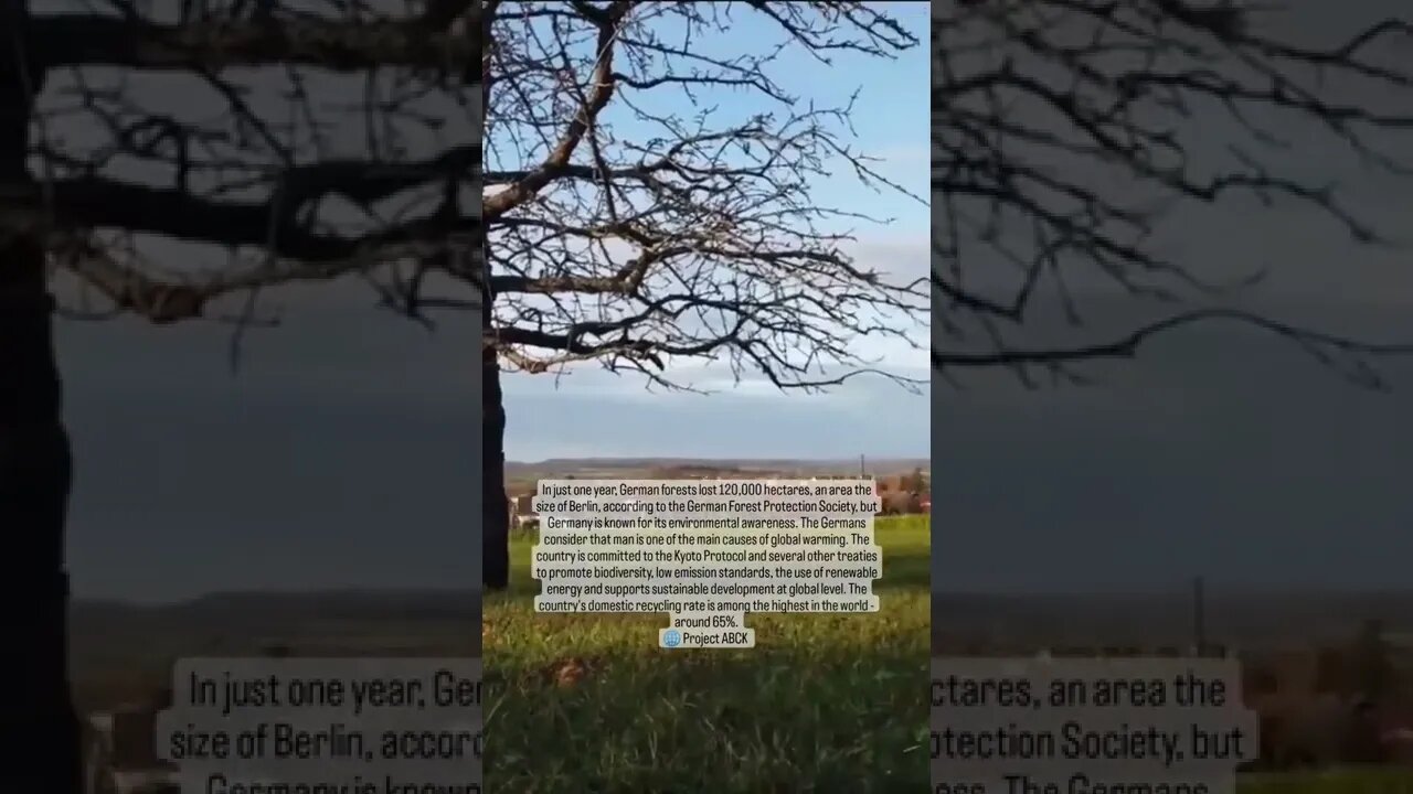 🇩🇪 🌳