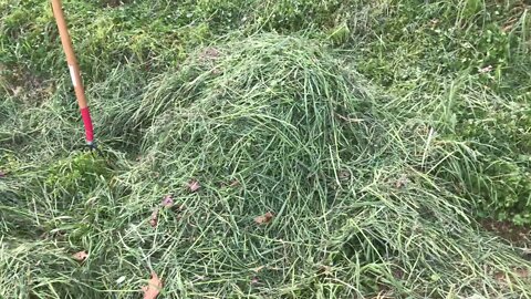 The secret to unlimited mulch