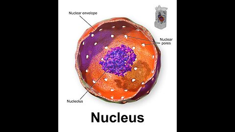 A short video of nucleus ..