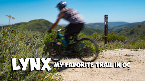 Lynx Trail - Aliso Woods - My Favorite MTB Loop