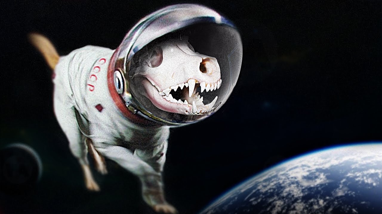 The Sad Story of Laika, the Space Dog