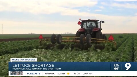 Lettuce shortage impacting local distributors and consumers