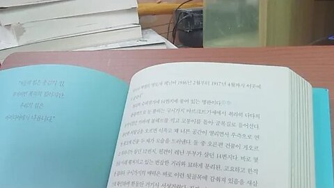 스위스방명록, 노시내, 레닌, 총파업, 무자비한폭력, 취리히, 슈피겔가, 관광객,러시아혁명,영도자,구시가지