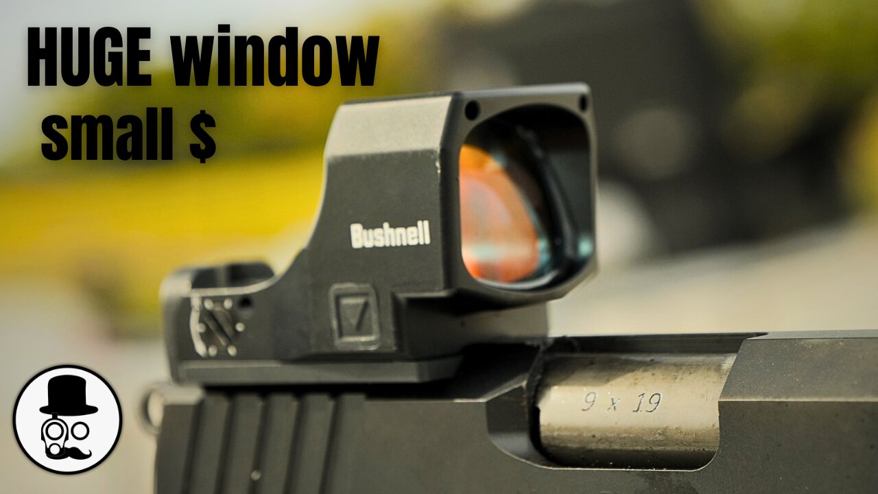 Bushnell RXM-300 - affordable big window optic