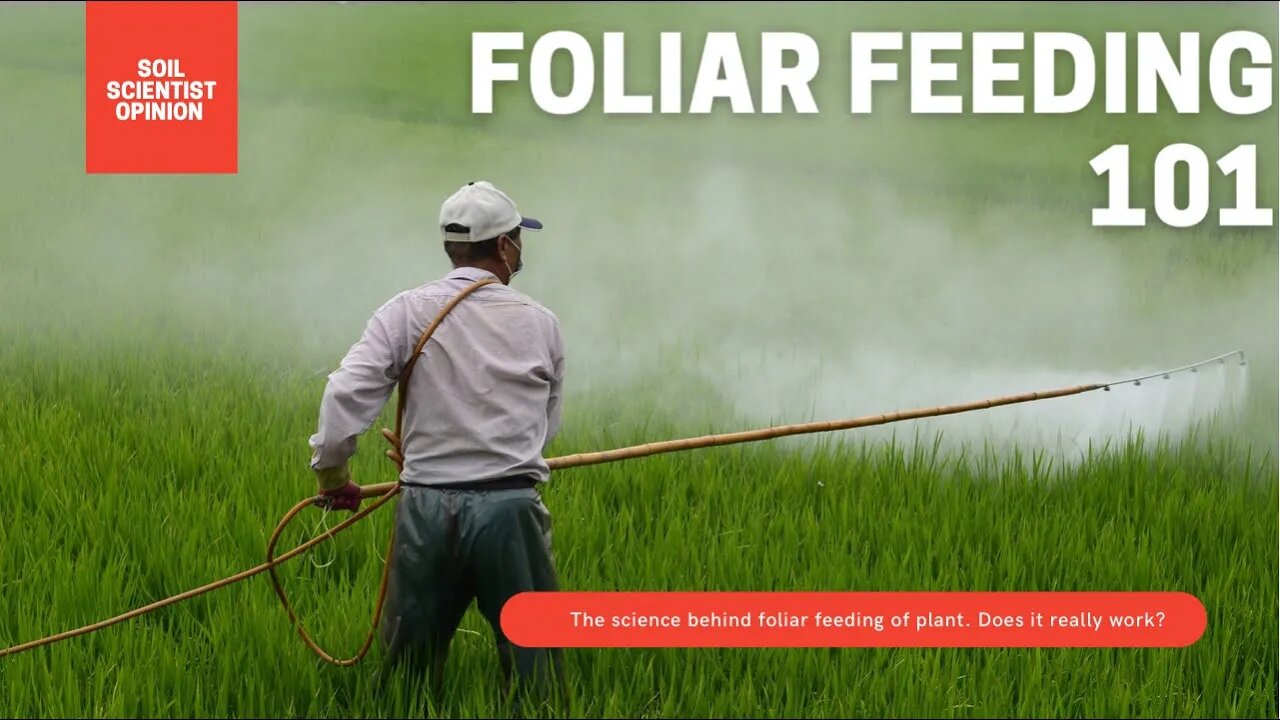 Does Foliar Feeding Plants Really Work? The Science Behind Foliar Feeding & Making It At Home 🪴🌱