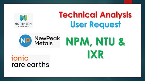 Ionic Rare Earths, Newpeak metals, Northern minerals analysis User request